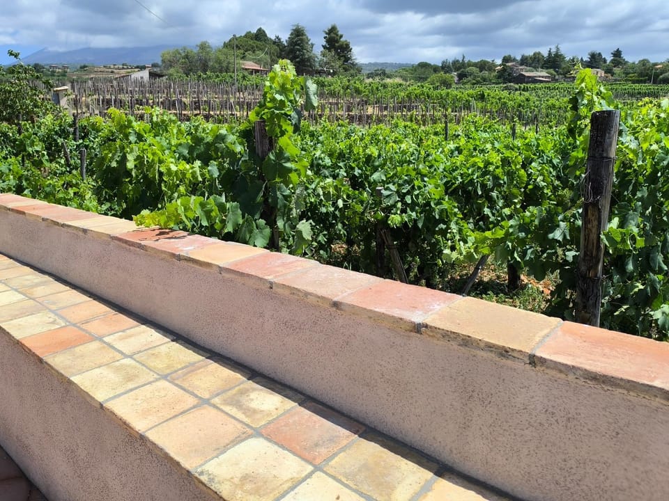 Garden, Garden, Balcony/Terrace, Garden view