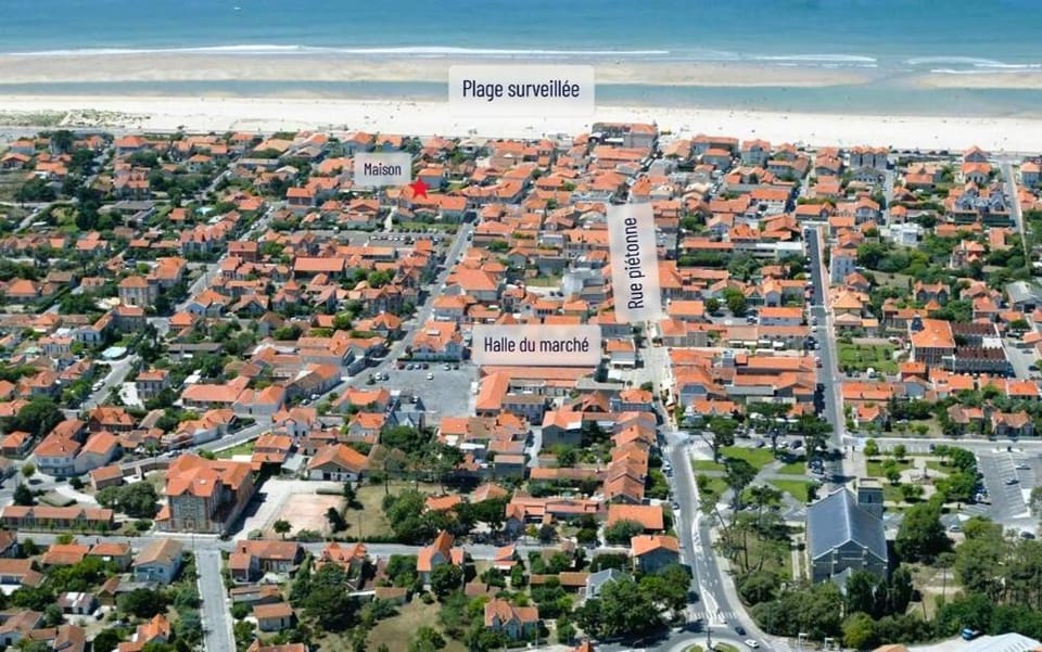 Nearby landmark, Bird's eye view, Beach, Location