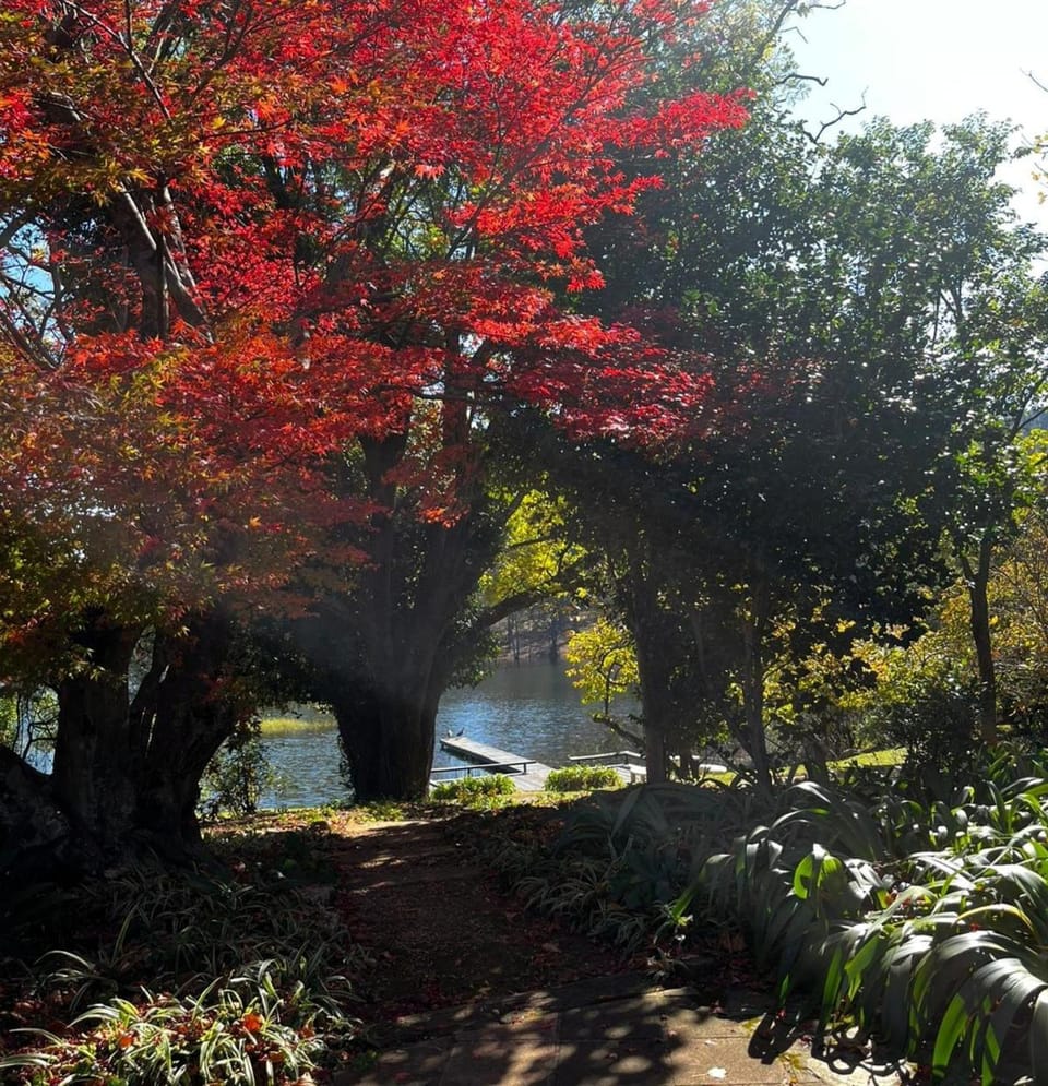 Day, Natural landscape, Garden, Garden, Garden view, Lake view