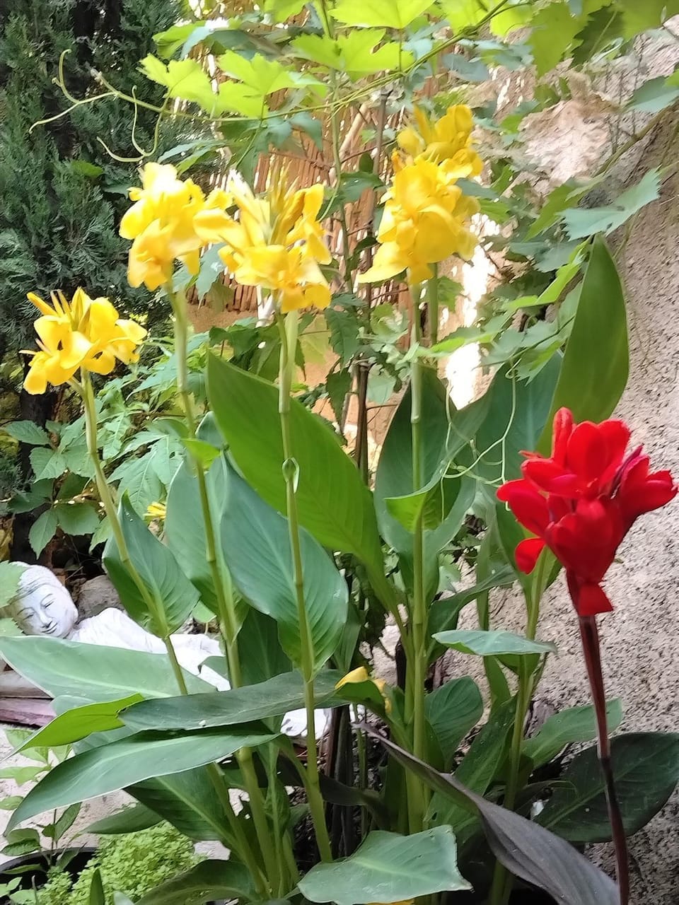 Chambre d hôtes Cap instant Bed and Breakfast in Occitanie