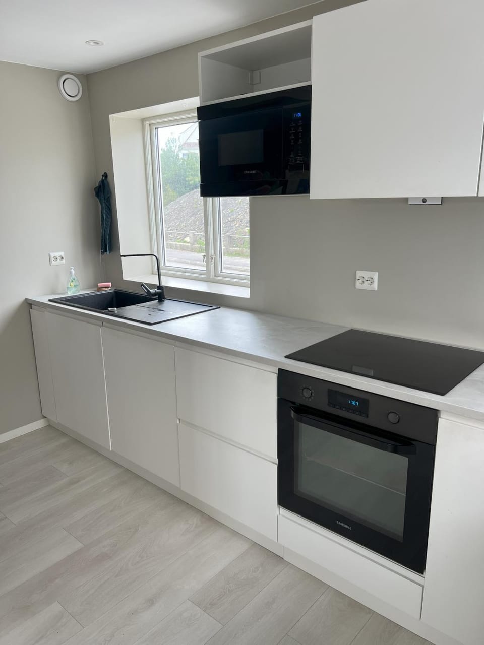Kitchen or kitchenette, dishwasher, stove