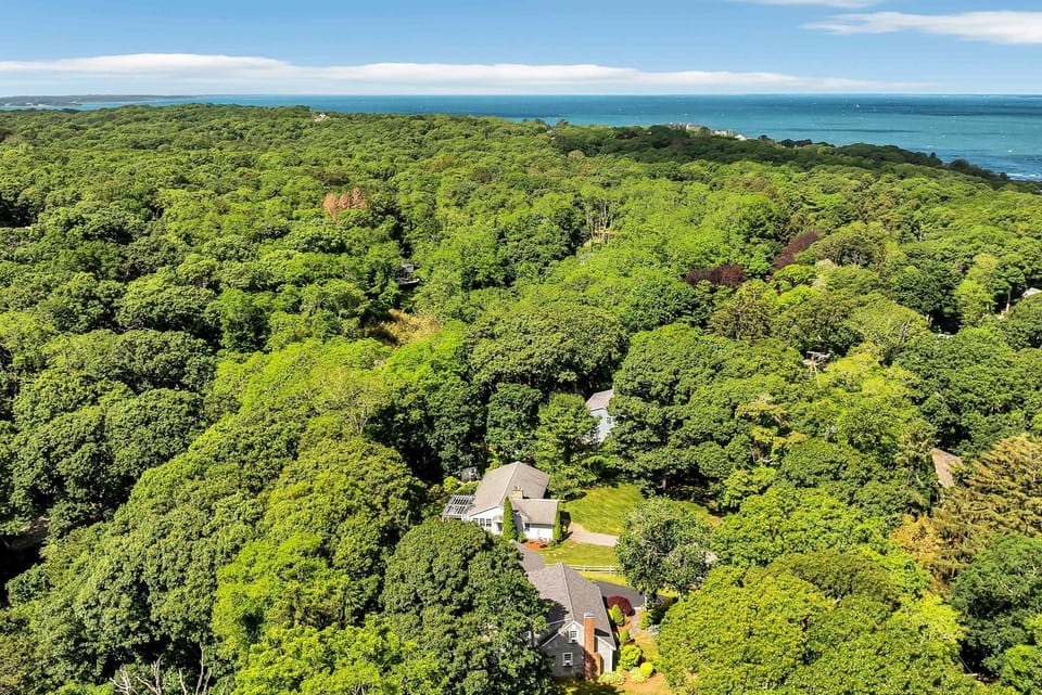 1 Story Family Home Half Mile to Beach with Patio , Grill, Office with Twin Beds, Peaceful Wooded Setting, Spacious Driveway, Garden Views, Walk to Shore, Perfect Cape Cod Getaway for Families House in Falmouth