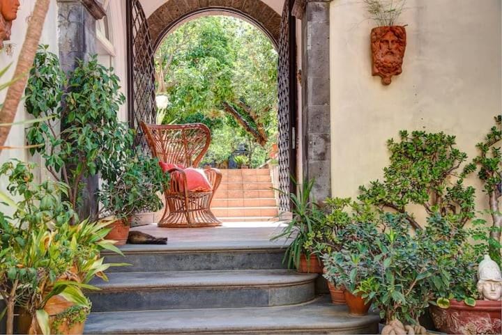 Garden, Garden view