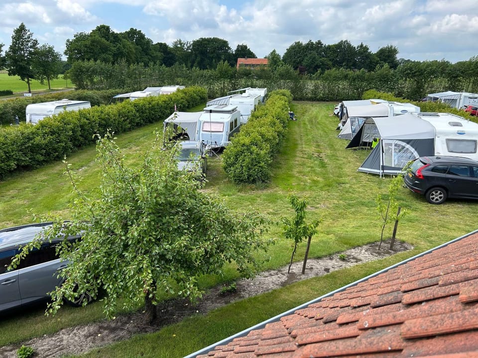 Property building, Day, Garden view