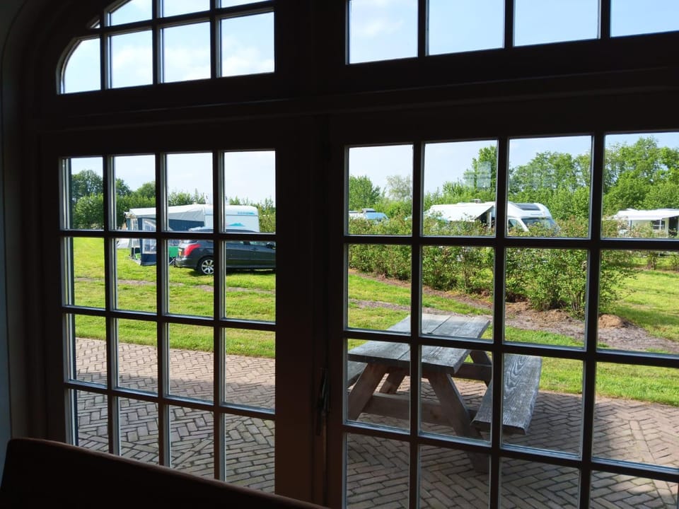 Patio, Day, Garden, View (from property/room)