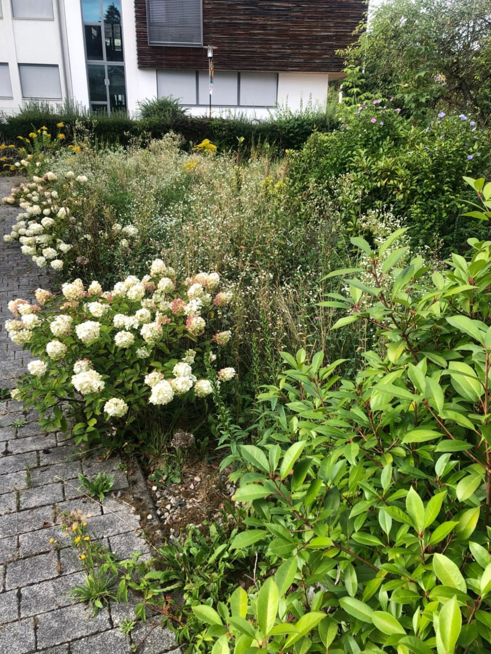 VeWöSee lakeboarding livello del giardino Apartment in Velden am Wörthersee