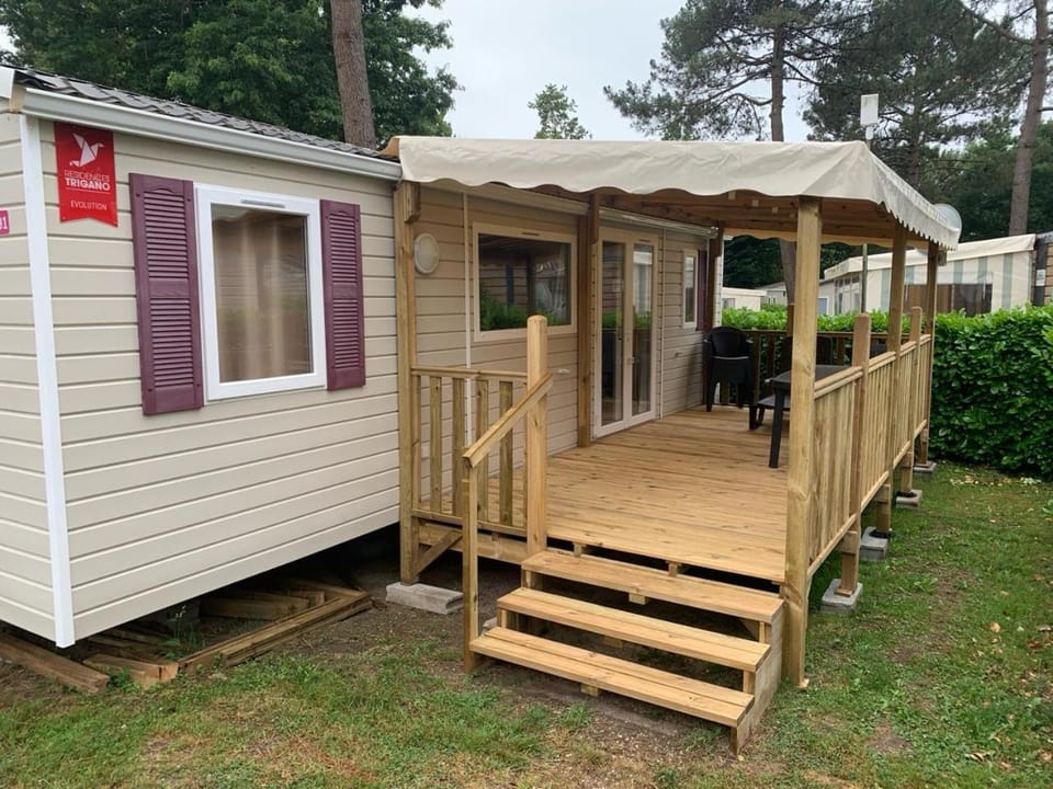 Property building, Garden, Garden view
