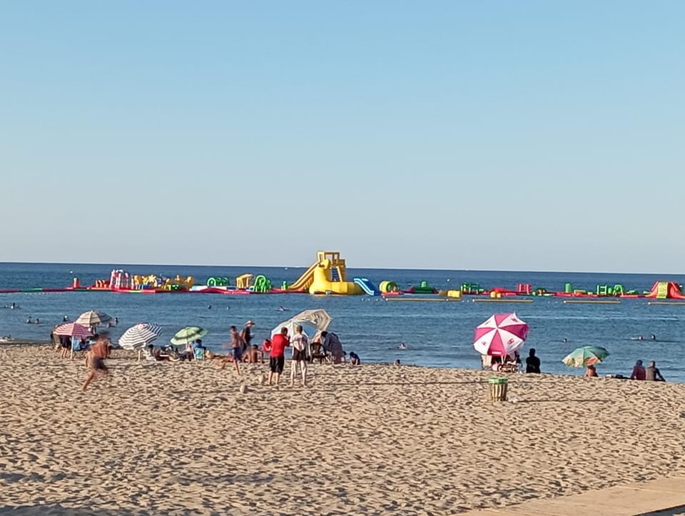 Natural landscape, Beach, children, group of guests