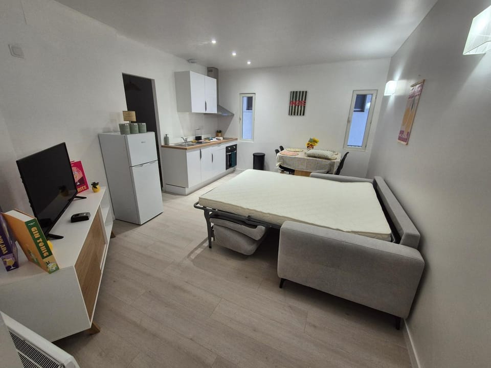 Lylo Apartment in Carcassonne