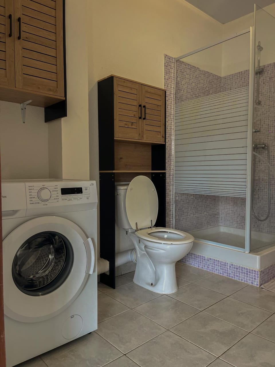 Toilet, Bathroom, towels, washing machine