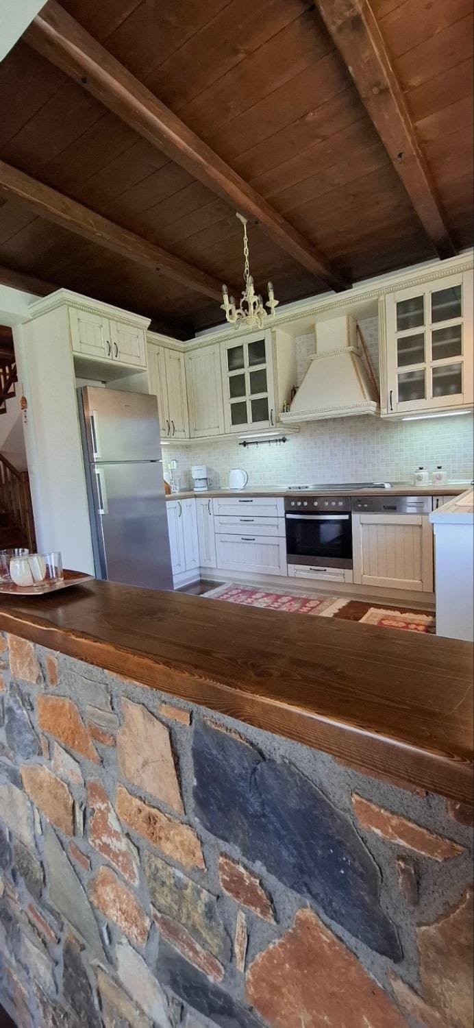 Olympus Mountain House House in Pieria, Greece