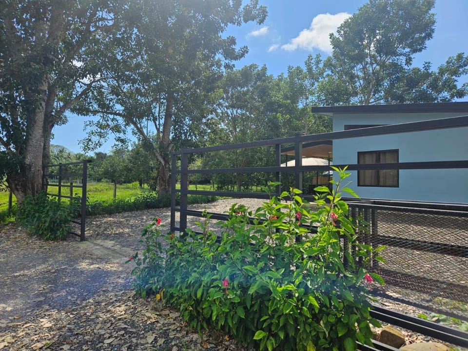 Property building, Garden