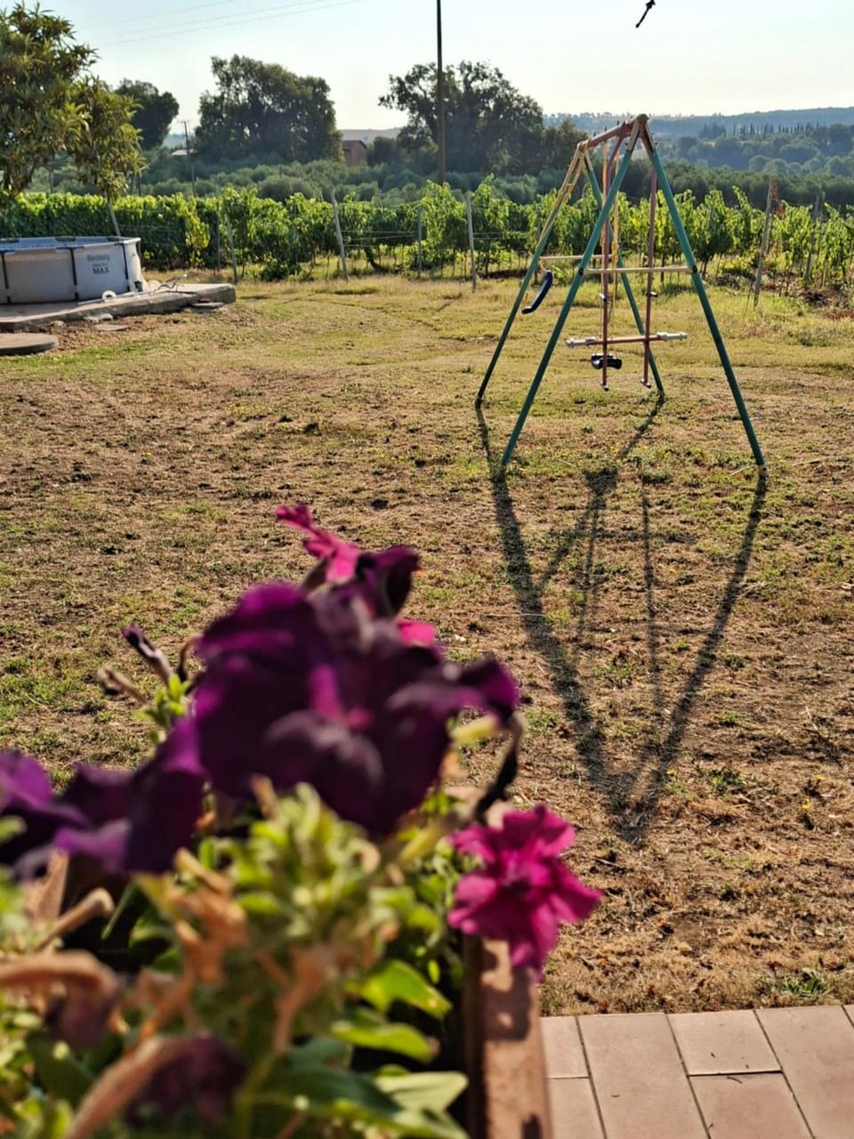 Agriturismo podere 329 Apartment in Tuscany