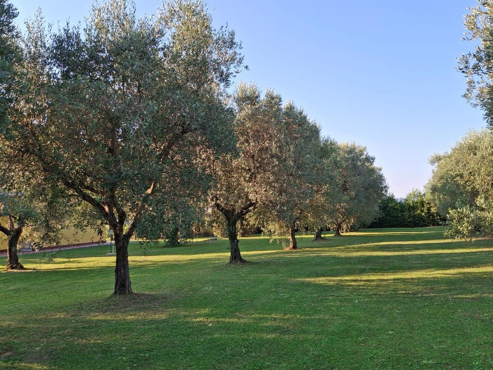 Agriturismo podere 329 Apartment in Tuscany