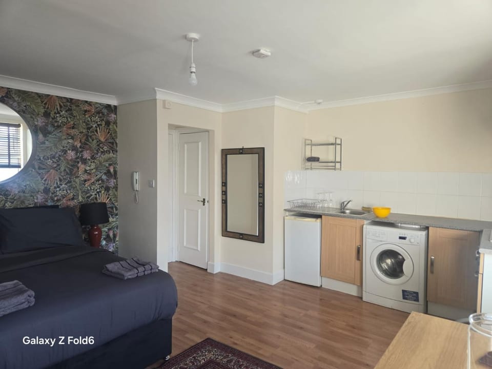 do not book waiting for it to remove Studio in vauxhall Apartment in City of Westminster