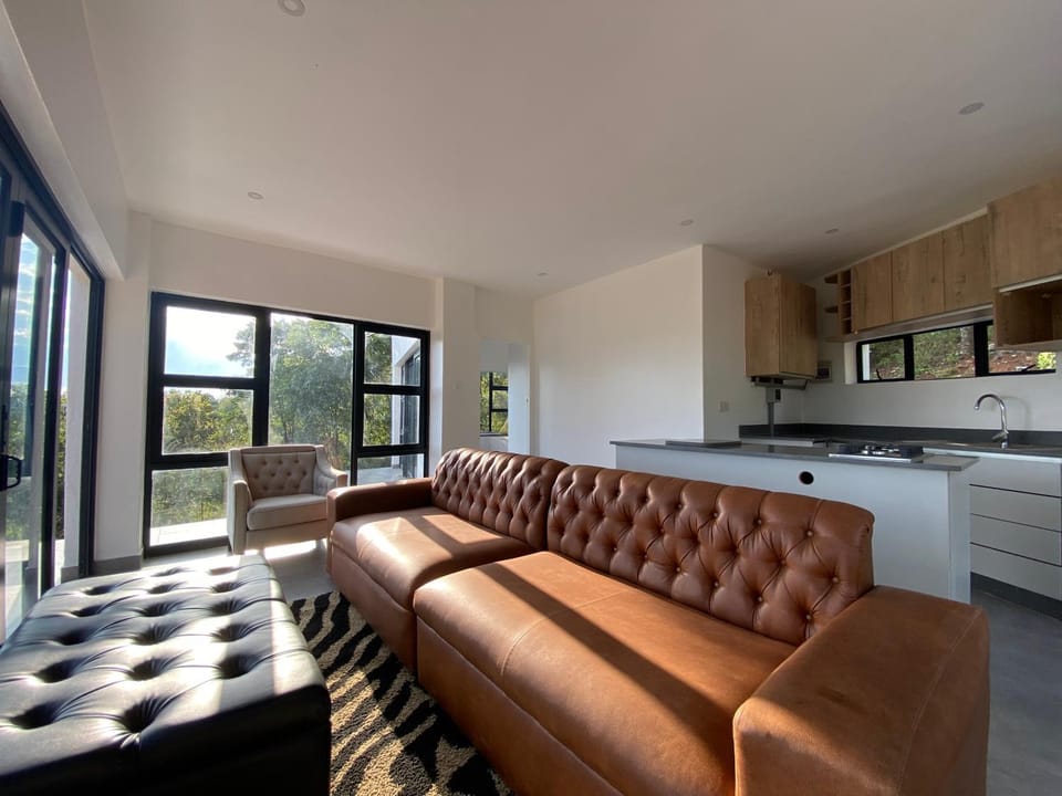 Kitchen or kitchenette, Living room, Seating area, stove