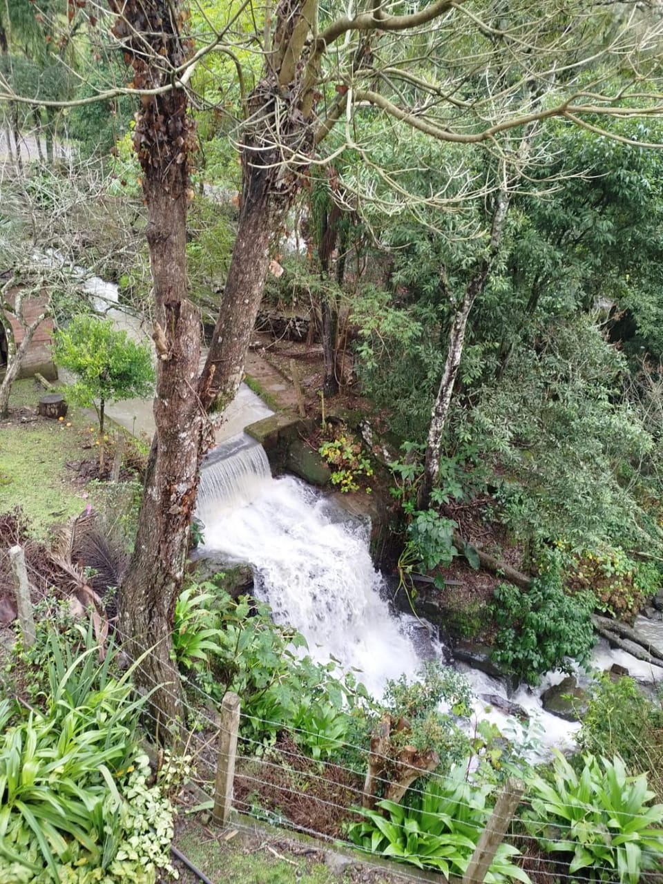 Natural landscape