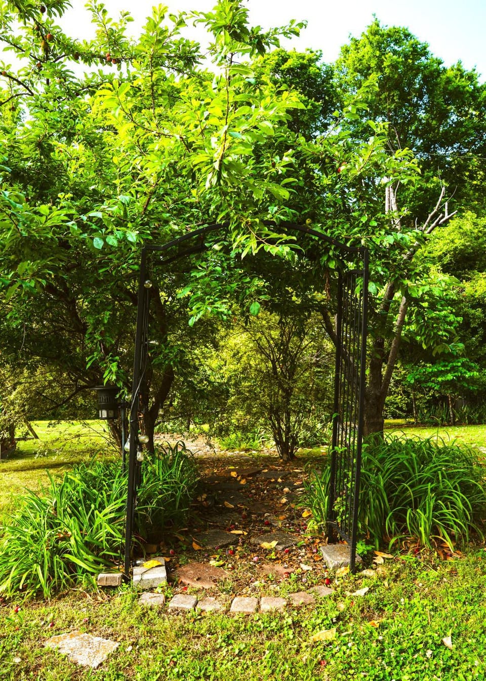 Spring, Day, Natural landscape, Garden, Garden view