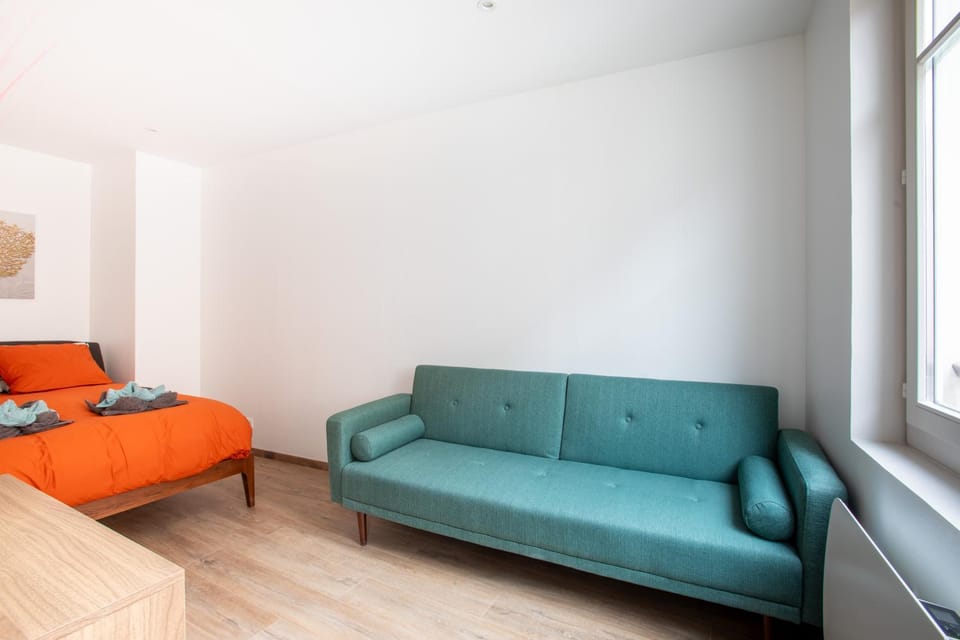 Newly renovated apartment - historical center Apartment in Colmar