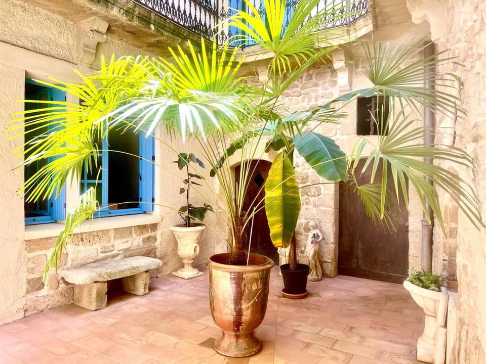 Le Parvis, charme atypique Apartment in Occitanie