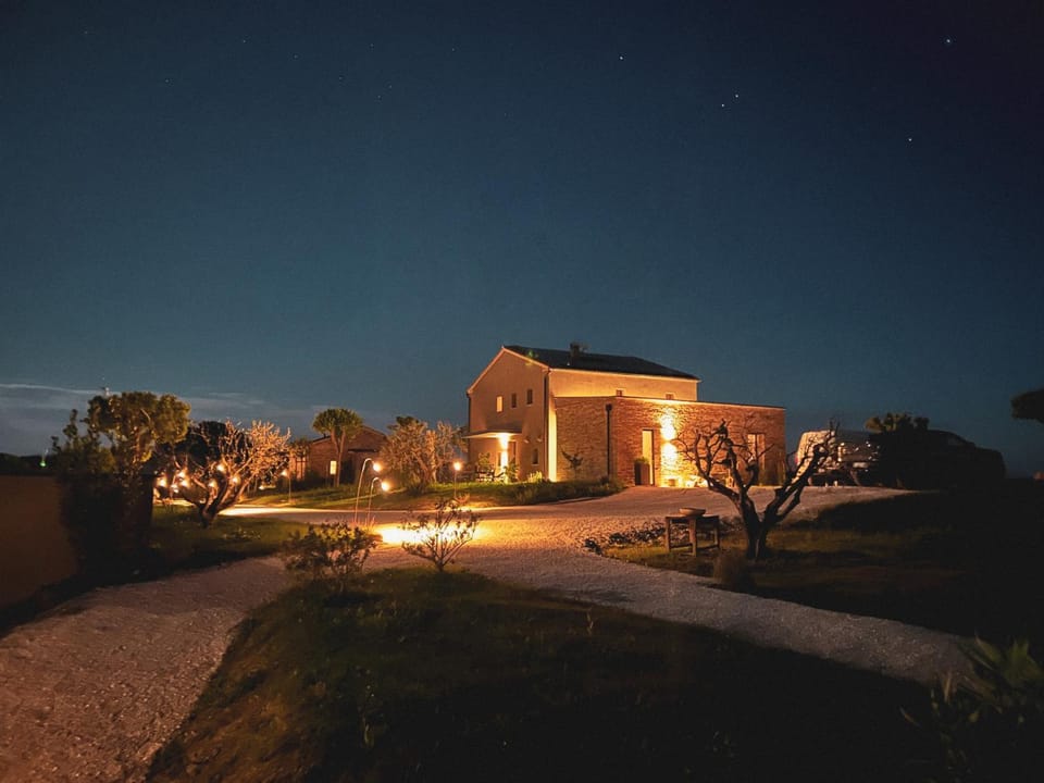 Night, Garden, Garden view