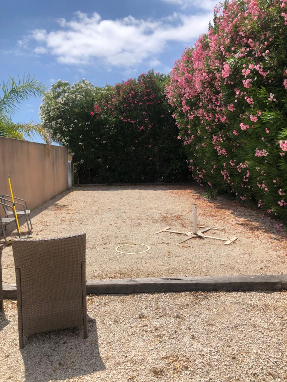 Garden view