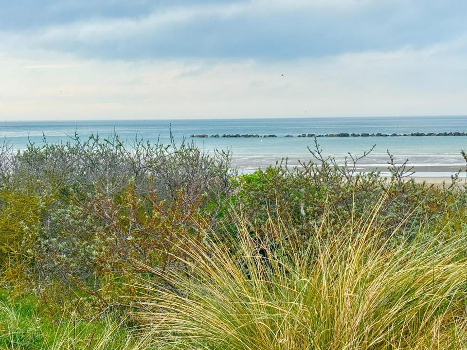 Natural landscape