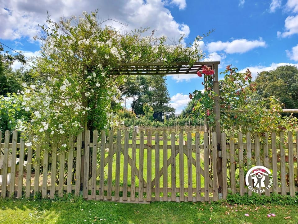 Natural landscape, Garden, Garden view