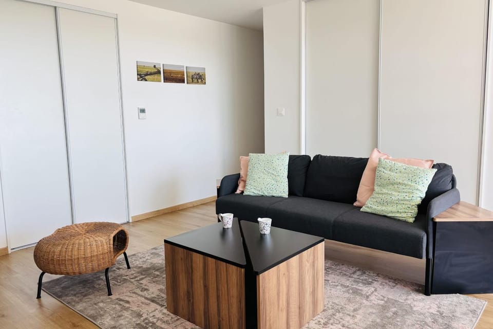 Air-conditioned apartment - 3 bedrooms Apartment in Strasbourg