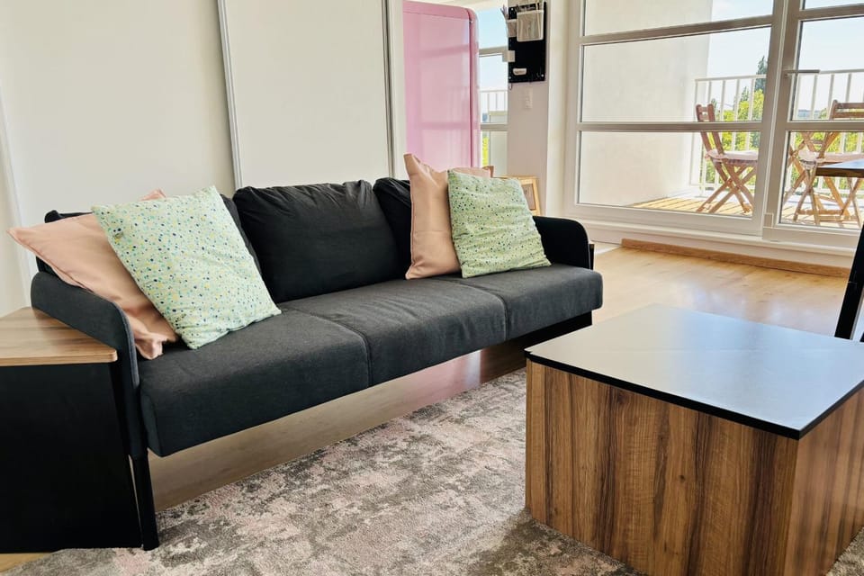 Air-conditioned apartment - 3 bedrooms Apartment in Strasbourg
