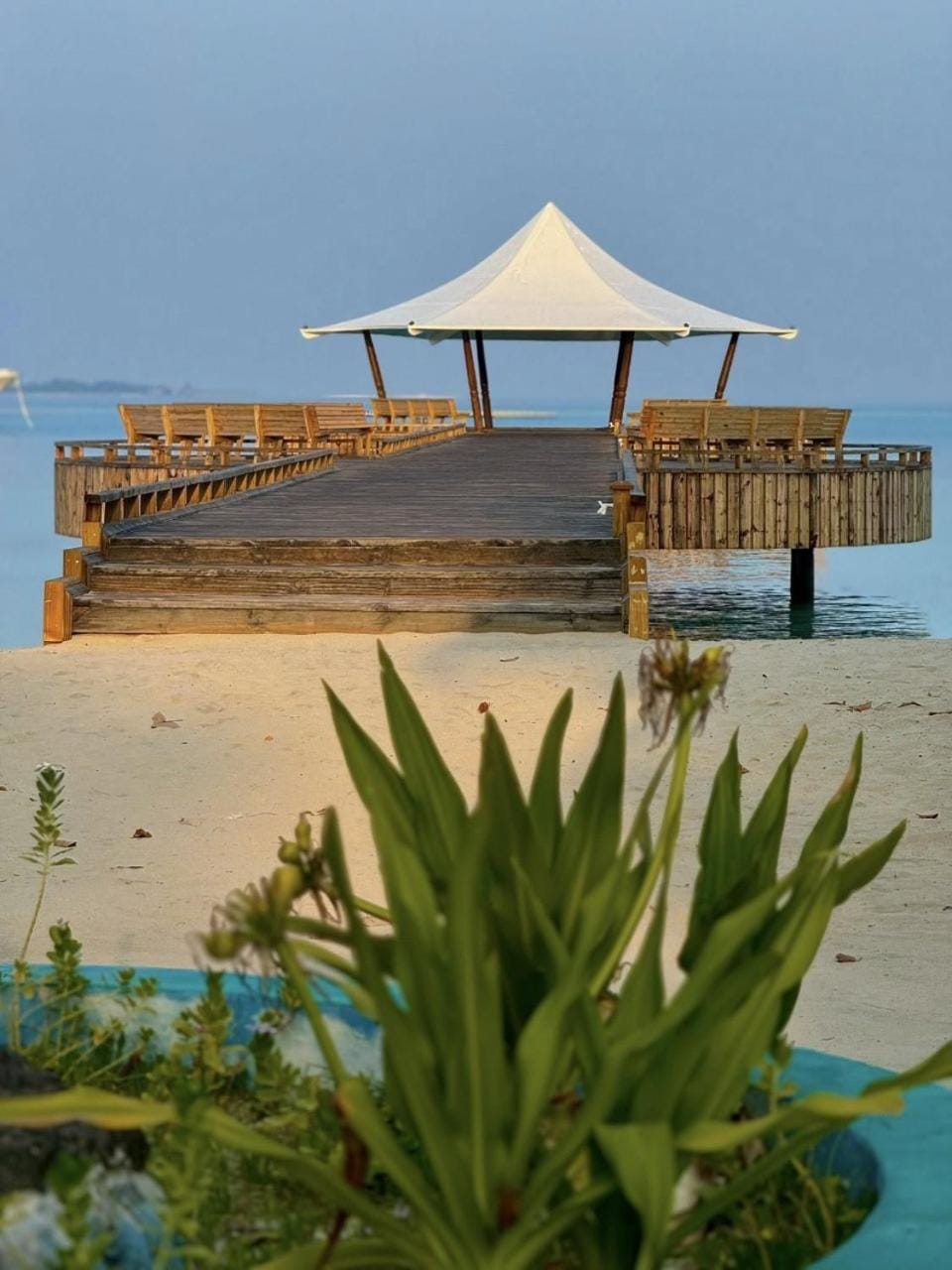 FEHIVILLA RESIDENCE inn Bed and Breakfast in Maldives