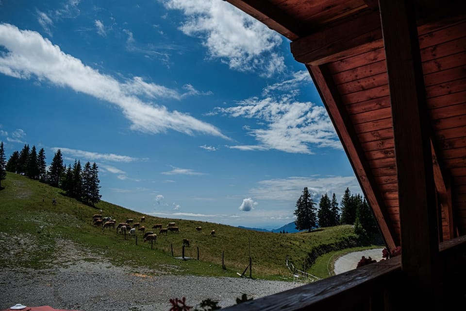 View (from property/room)