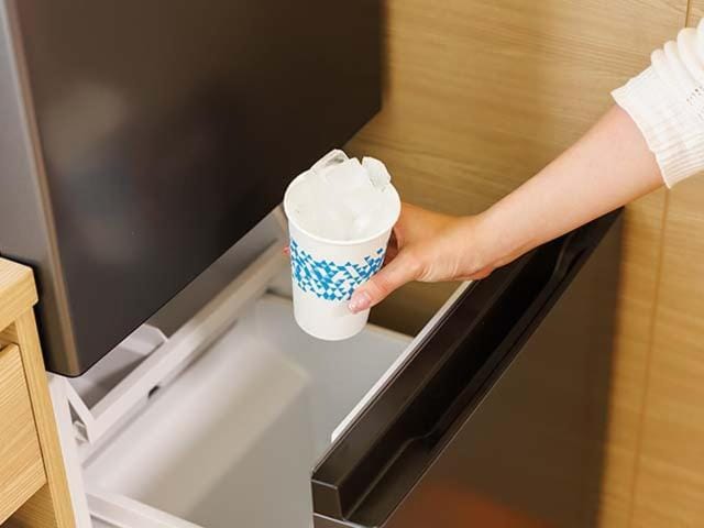 HOTEL DREAM GATE maihama - Main & Annex Hotel in Chiba Prefecture