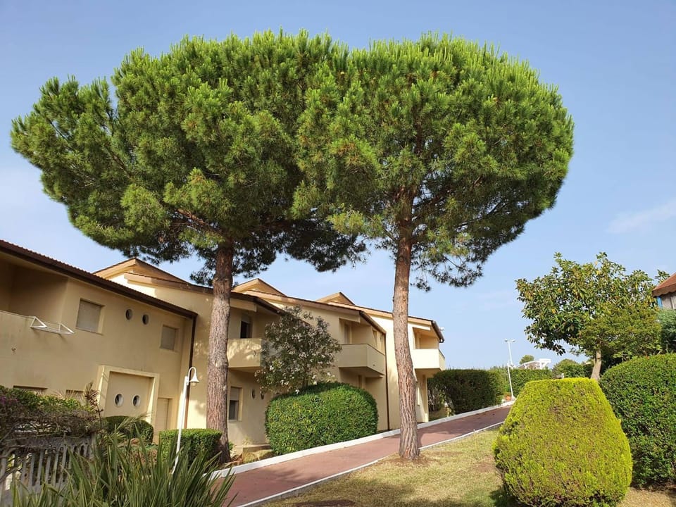 Property building, Spring, Garden, Garden view
