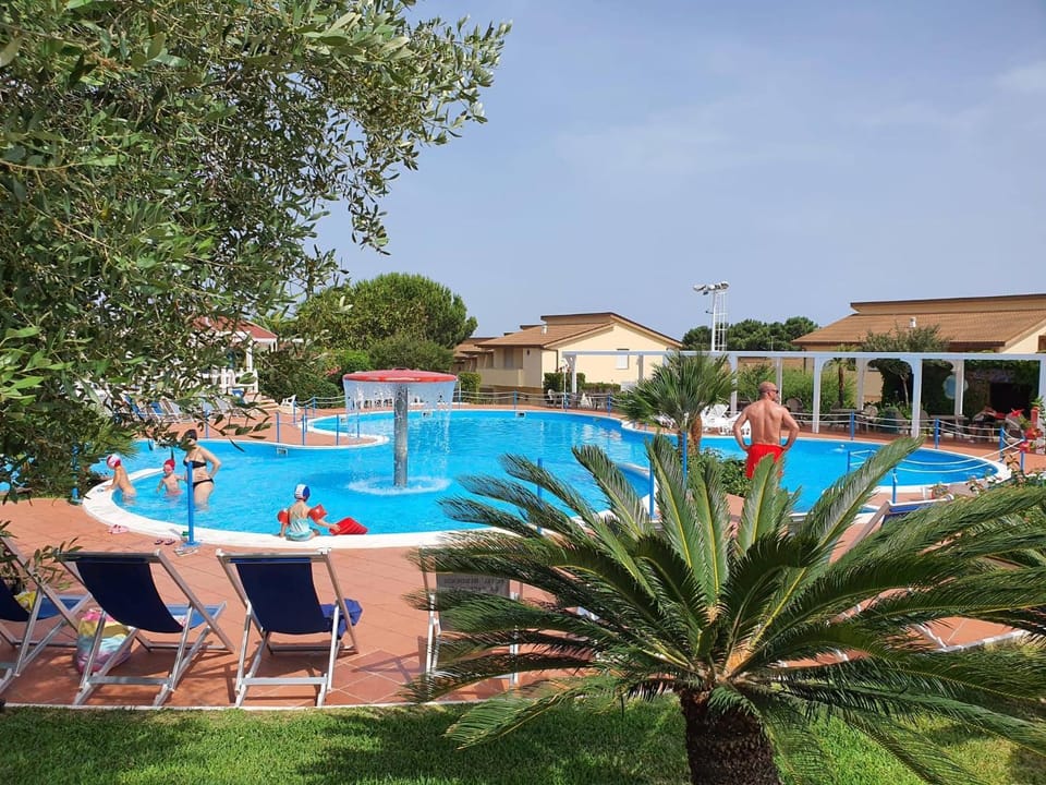 Day, Garden view, Swimming pool, sunbed