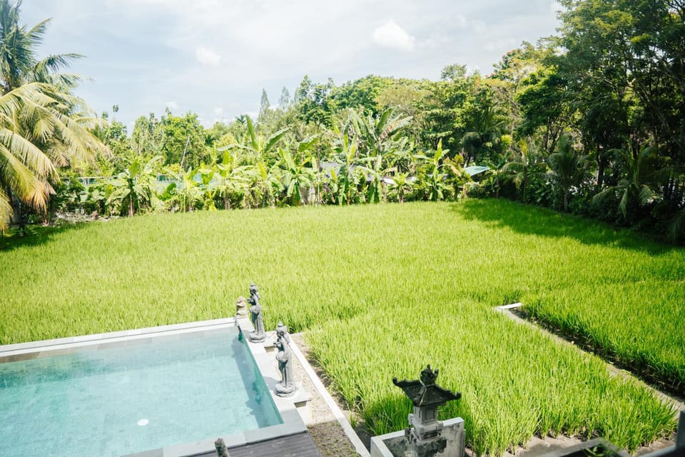 Day, Natural landscape, Pool view, Swimming pool, sunbed