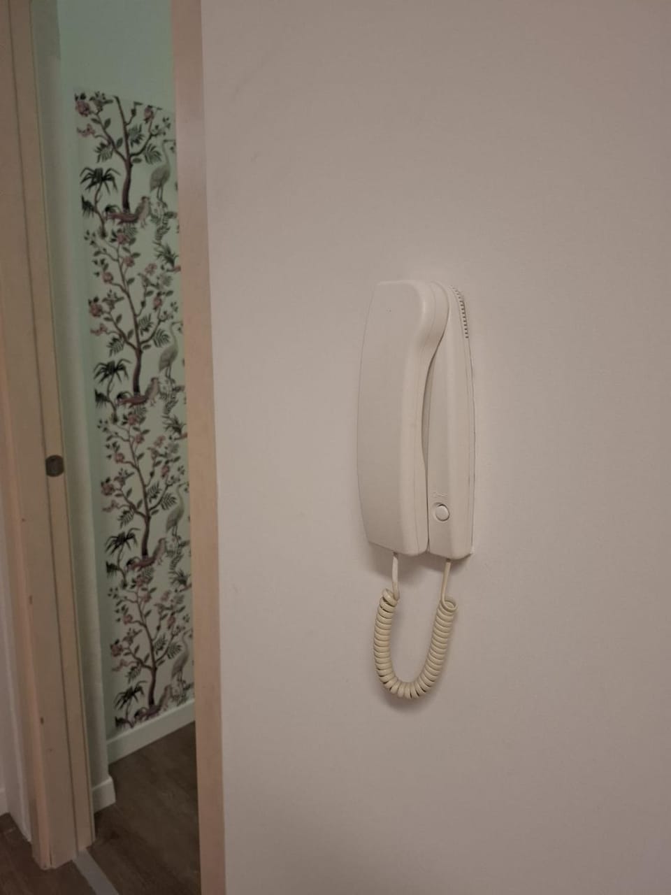 Family Suite Apartment in Province of Taranto