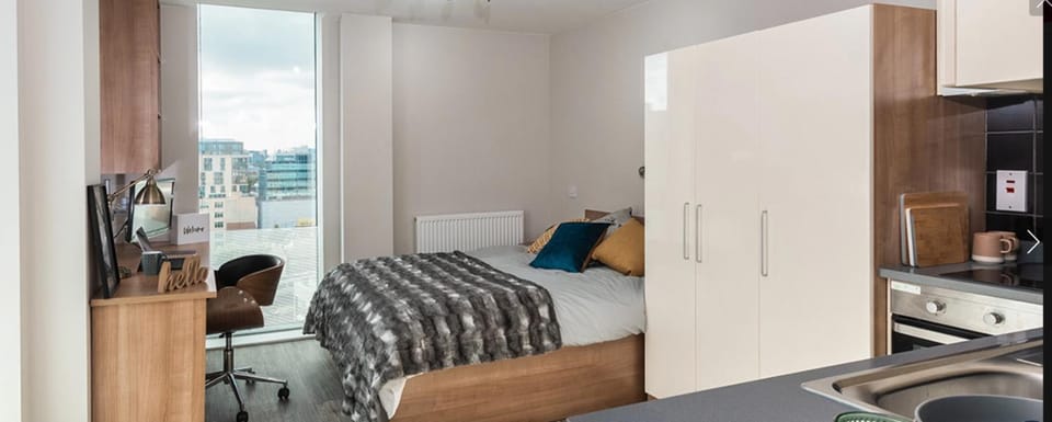 Bed, Kitchen or kitchenette, Photo of the whole room, Seating area, Dining area