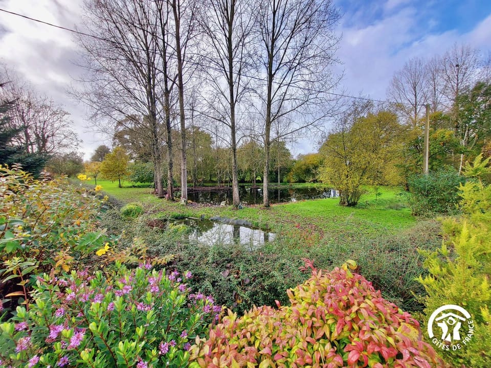 Natural landscape, Garden, Garden view, Lake view