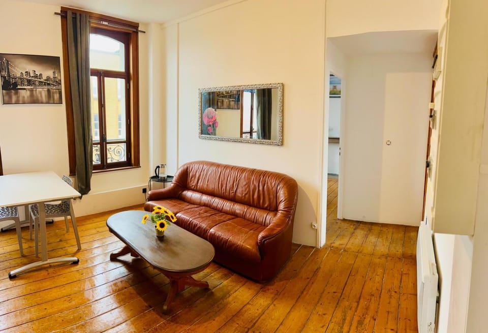 La Viva2B Vacation rental in Calais