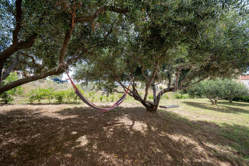 Location, children, Family