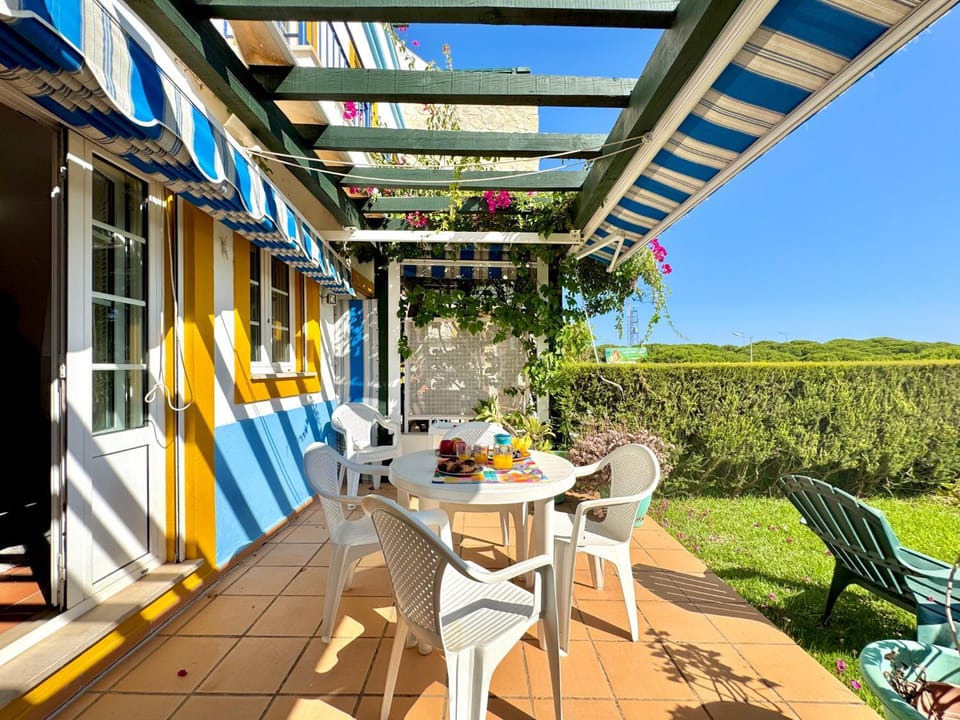 Patio, Garden, Garden view