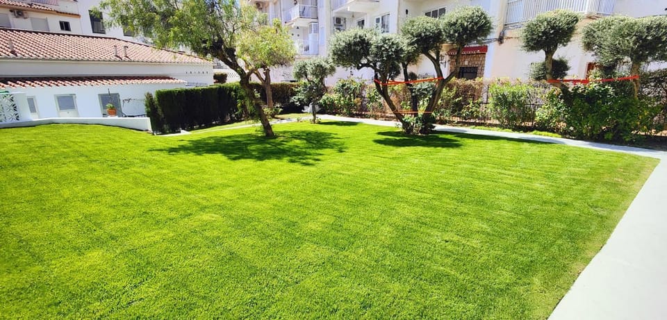 Patio, Garden, Garden view