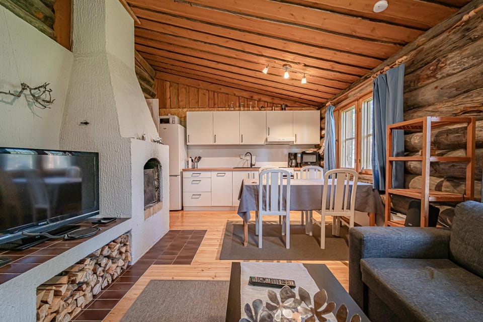 TV and multimedia, Kitchen or kitchenette, Living room, Seating area, Dining area, fireplace, heating, internet, pet friendly