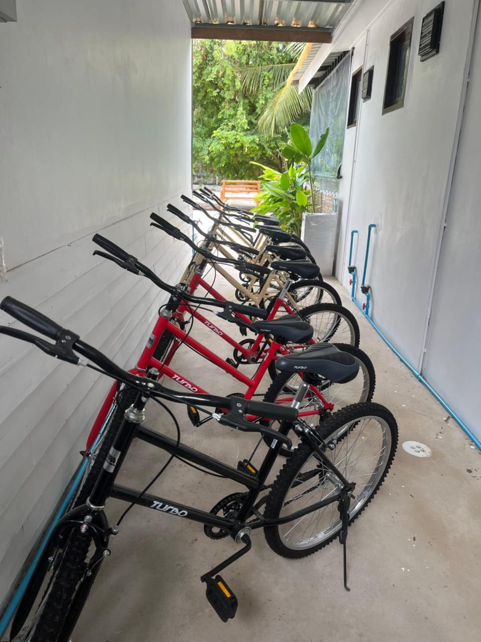 Cycling