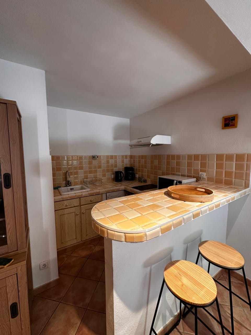 Studio île de la Barthelasse- Avignon Apartment in Villeneuve-lès-Avignon