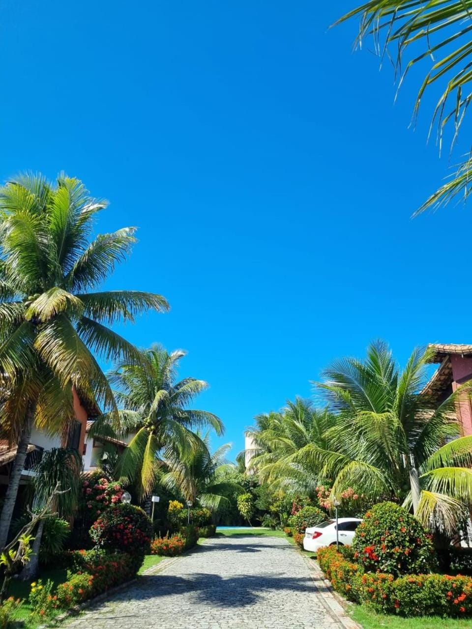 Garden, Garden view