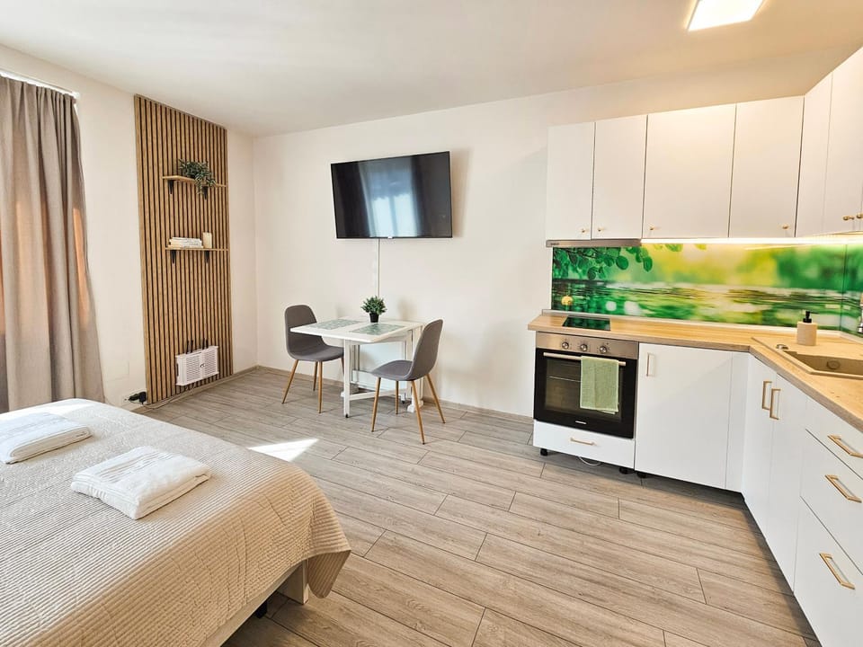 Bed, TV and multimedia, Kitchen or kitchenette, Living room, Photo of the whole room, Dining area, oven, towels