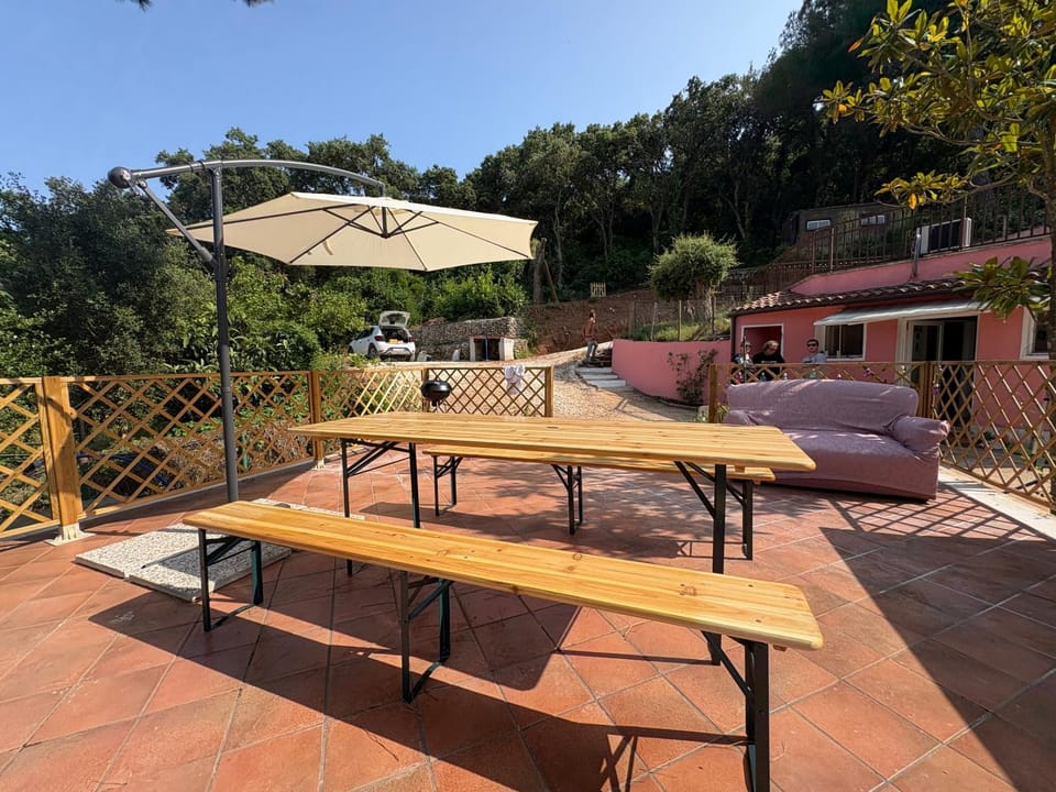 Garden, Balcony/Terrace, Garden view