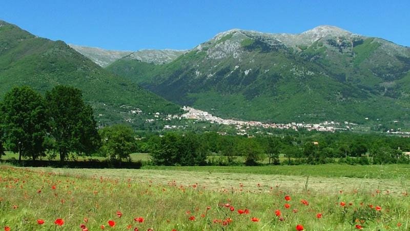 Natural landscape